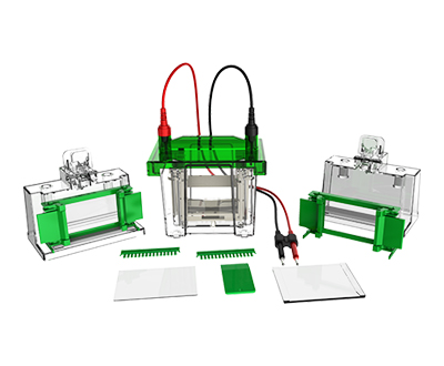 1638509841270736.jpg 迷你垂直電泳槽