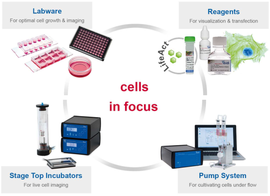 1639625267683685.png 692899770010.png