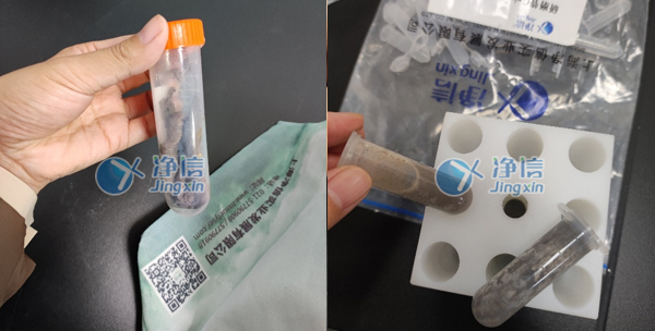 樣品研磨前后效果圖 樣品研磨前后效果圖