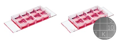 1691033442818343.jpg 1112.JPG