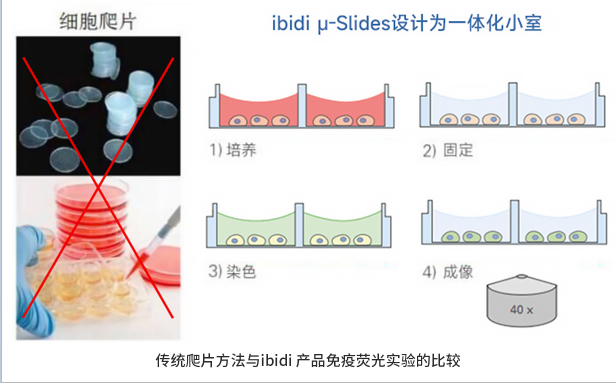 1693560972955116.png 1693560972955116.png