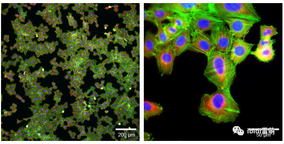 1698112572214412.png 1698112572214412.png