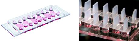 1708407906882515.jpg QQ截圖20240220133749.jpg