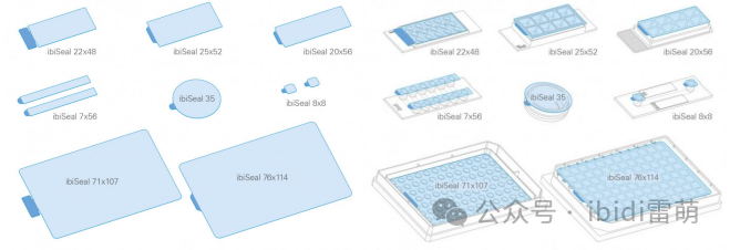 1708409129965474.png 1708409129965474.png