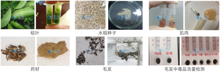 1720516575197339.png 1720516575197339.png