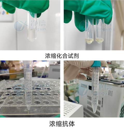 1723711691209728.jpg 1723711691209728.jpg