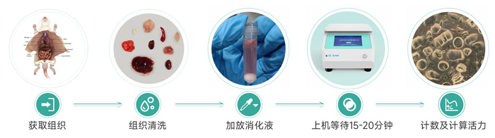 1724923475490733.jpg 單細胞懸液制備儀操作流程.jpg