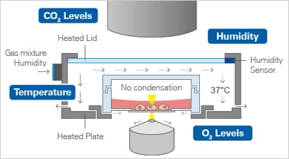 1734332750106932.png ibidi加熱系統.png