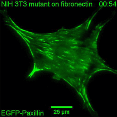 1734332876125270.png QQ截圖20241216150407.png