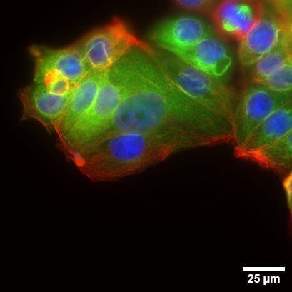 1735610753344321.png 04444.png