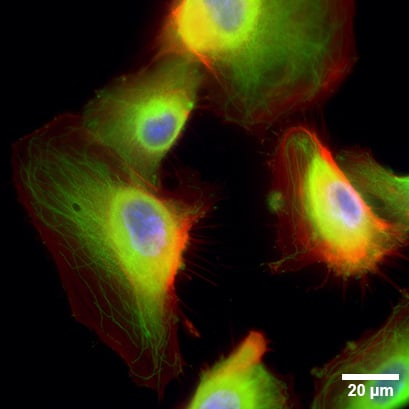 1735610760710913.png 03333.png