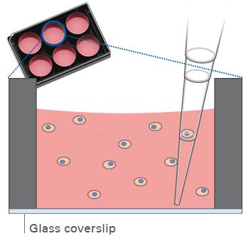 1735610801794845.jpg QQ瀏覽器截圖01.jpg