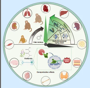 1737522997199838.png 微信圖片_20250122124647.png