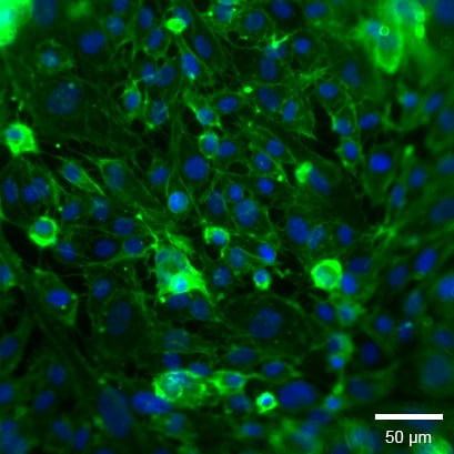 1739502748257821.png a234152c801c304d513b01f2e417ccf2.png