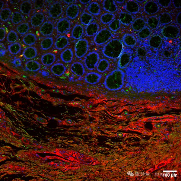 1740473362127340.png 1740473362127340.png