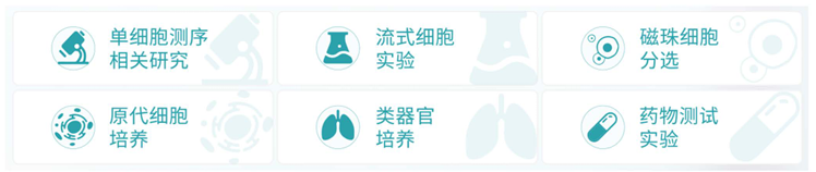 1760679077463914.png 1760679077463914.png