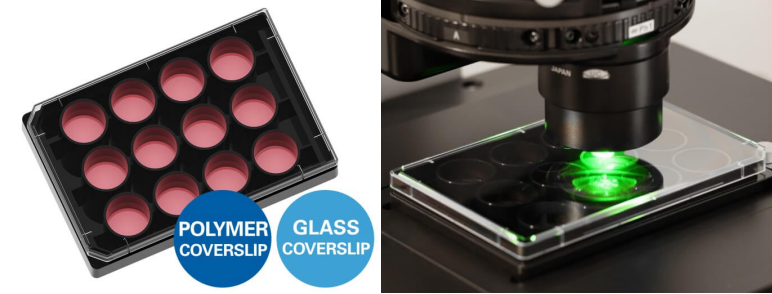 1763606208192084.png 1763606208192084.png