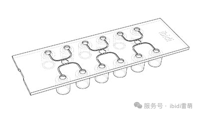 1764048994696751.png 54b1696c80613fc7d733e9bf291f197a.png