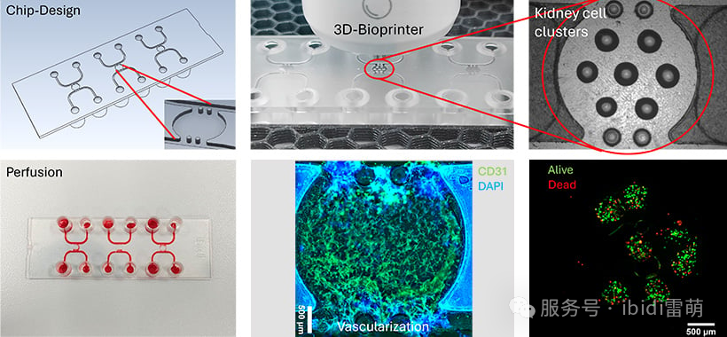 1764049049146289.png 1764049049146289.png