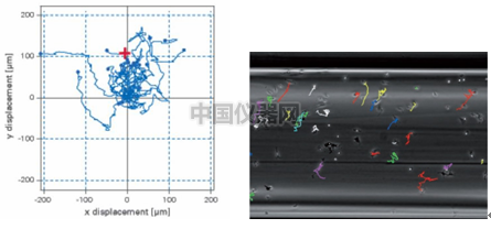 易必迪ibidi細(xì)胞趨化性試驗(yàn) u-Slide Chemotaxis 2D 圖8.png