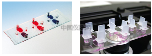 易必迪ibidi細(xì)胞趨化性試驗(yàn) u-Slide Chemotaxis 2D 圖1.png