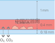 易必迪 ibidi 培養&染色 u-Slide I 圖2.png