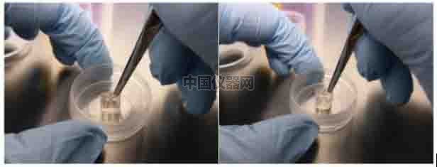 傷口愈合／細胞劃痕實驗新方法－如何劃出筆直均一的劃痕