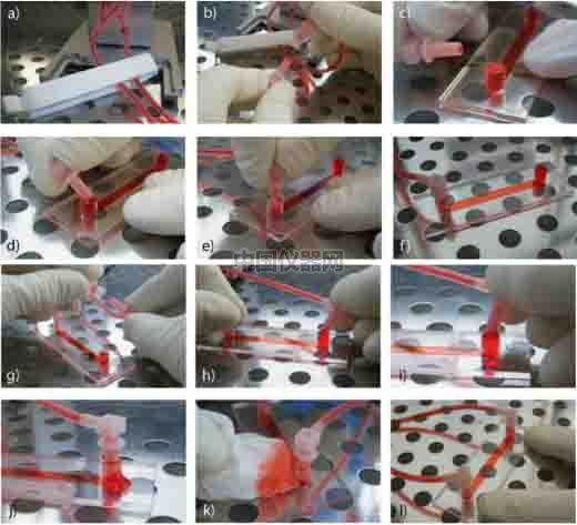 流體剪切力實驗：流體環(huán)境下的HUVEC細(xì)胞培養(yǎng)，真實還原體內(nèi)環(huán)境