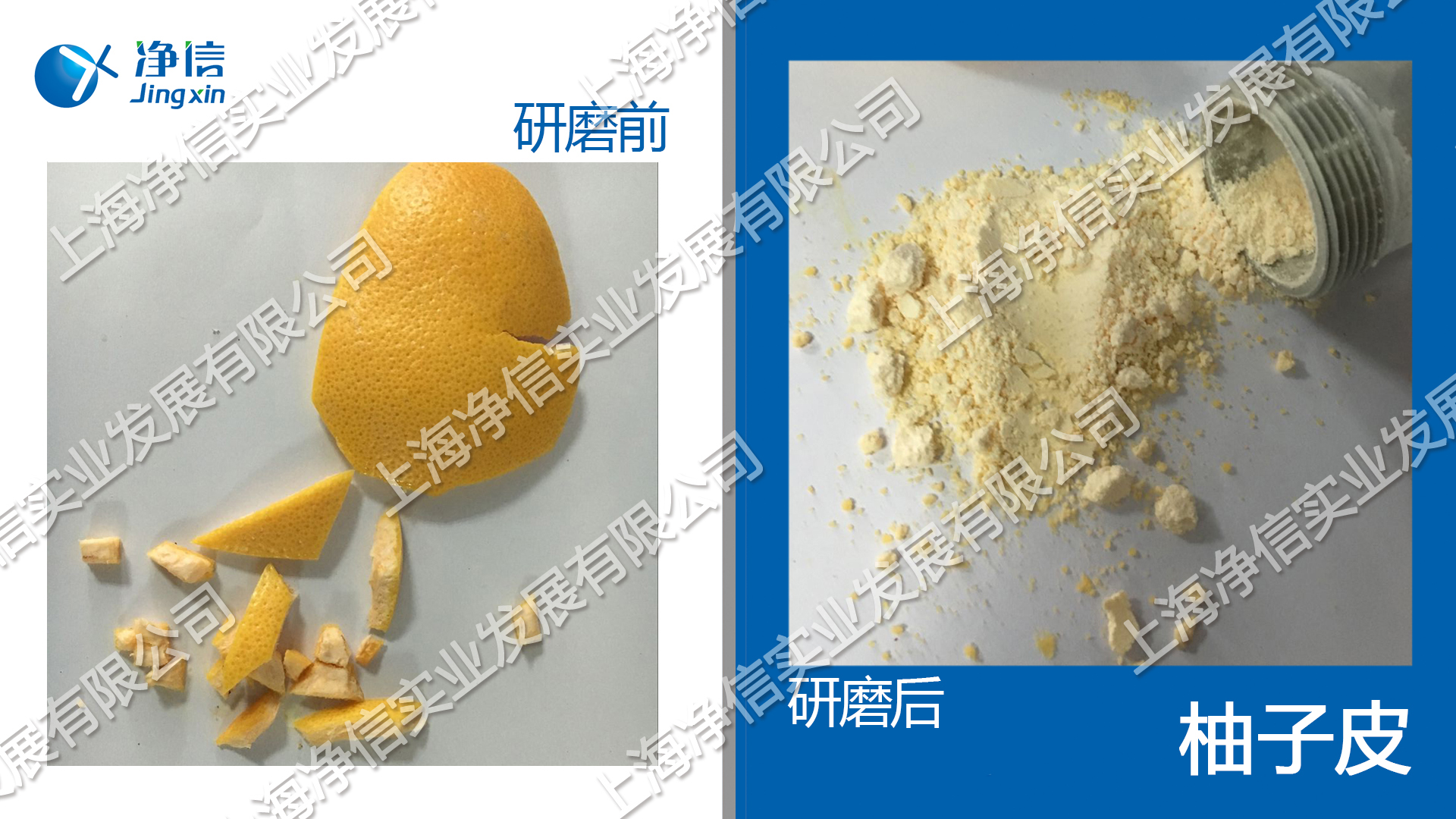 多樣品組織研磨儀 型號:Tissuelyser-96